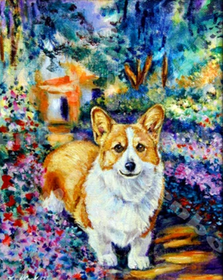 Perro de corgi