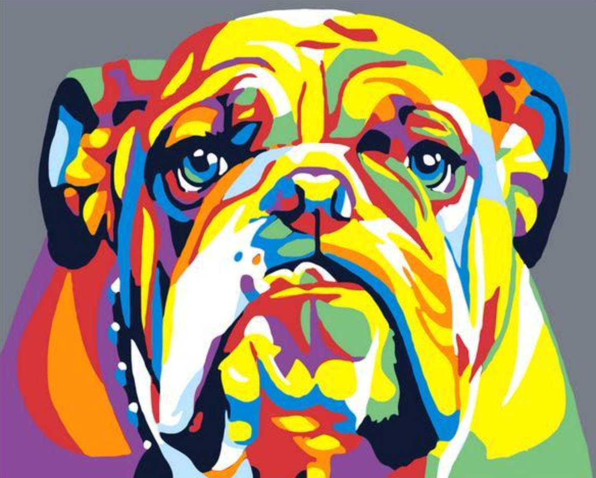 Bulldog colorido