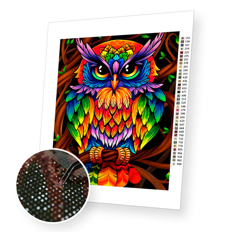 Colorful Owl premium diamond painting kit for adults