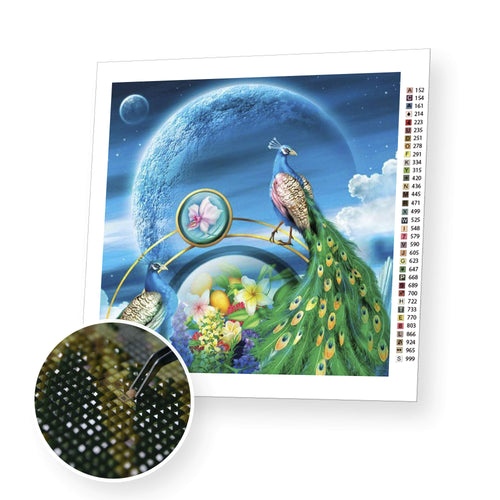 Peacocks premium diamond painting kit for adults