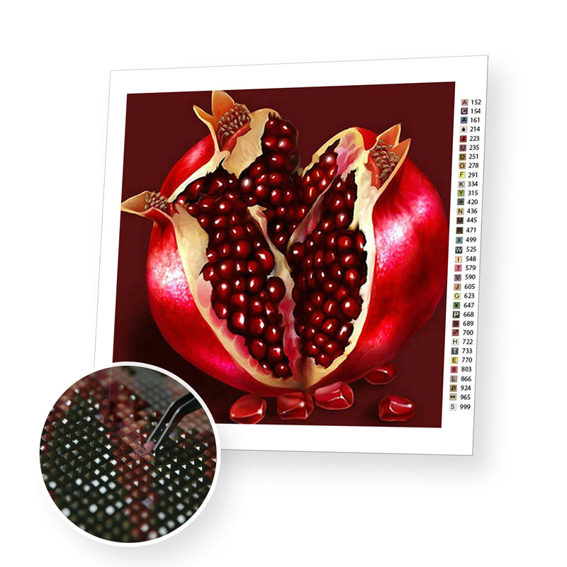 Wonderful Pomegranate premium diamond painting kit for adults